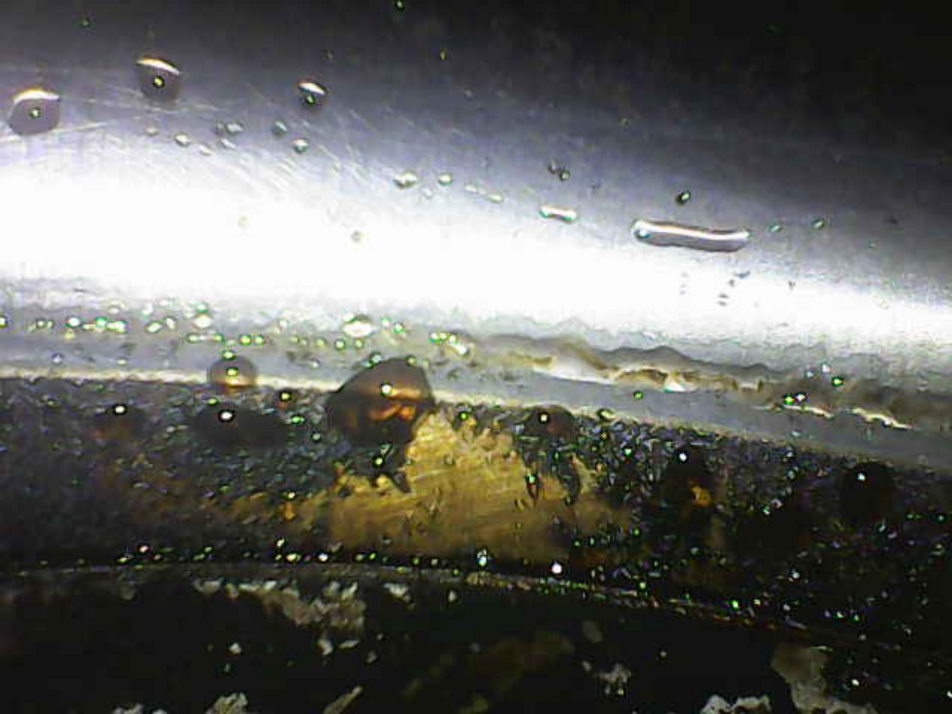 Photo_2024-09-15 11_52_12_623.JPG